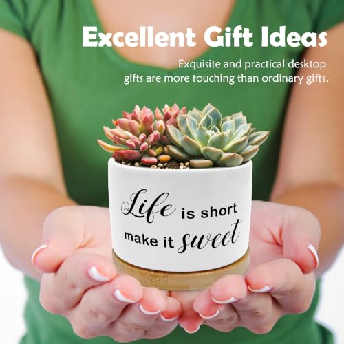 Motivational Funny Planter Pots, Life is Short Make It Sweet Ceramic Succulent Plant Flower Planters(No Plants) - color: Style 02
