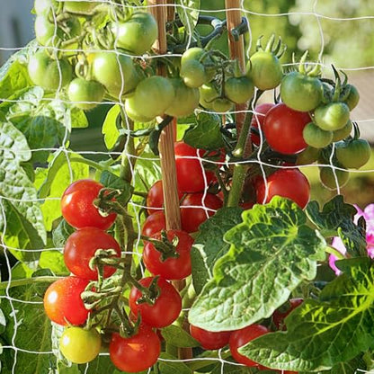 Heavy Duty Garden Trellis Netting, 6 x 15 ft, White, Rectangular, Polyester Nylon, Climbing Plant Support Netting, Garden - size: 6x15ft - 2 Pack