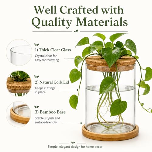 Glass Plant Propagation Stations, 2PCS