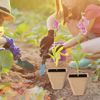 80-Pack 3.15" Square Biodegradable Seed Starter Pots