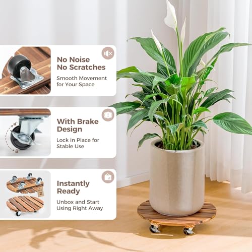 Bamworld Plant Caddy 14 Inch Wood Dolly with Wheels 2 Pack - size: 14inch-Round-2 pack
