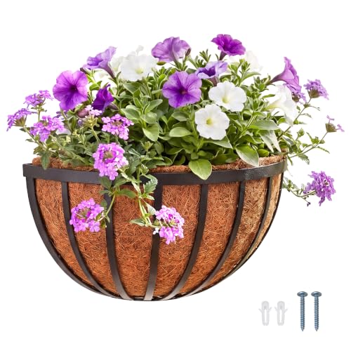 Arcadia Garden Products 1527 Half Round Circle Wall Mounted Planters with Coco Liner 16"