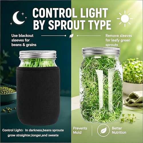 Premium Sprouting Jar Kit 2-Wide Mouth Mason Jars with Mesh Sprout Lids - color: Green