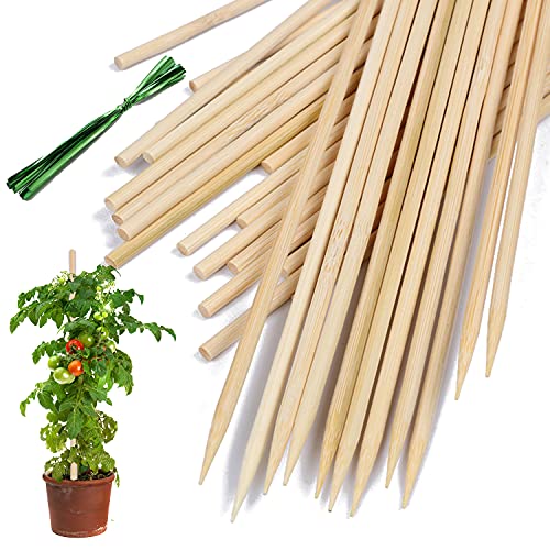 Bamboo Plant Stakes25Pack,HAINANSTRY 12Inch Plant Supports With25Green Ties - color: Burlywood, size: 12 Inch 25Pack