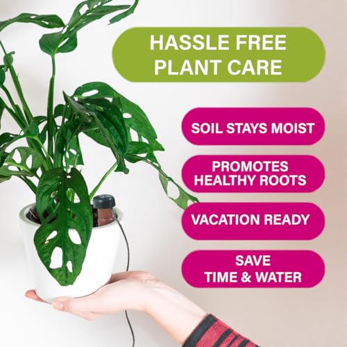 Blumat Classic Self-Watering Stakes - Prevents Overwatering and Underwatering for Healthy Growth While You are Away - Ideal for Indoor Plant Watering, 15 Pack, wo Adapter - size: 15 Pack without Adapter