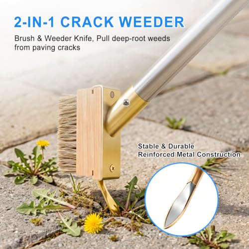 Crack Weeder and Crevice Weeding Tool with 67-Inch Long Handle