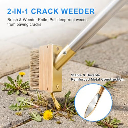 Crack Weeder and Crevice Weeding Tool with 67-Inch Long Handle