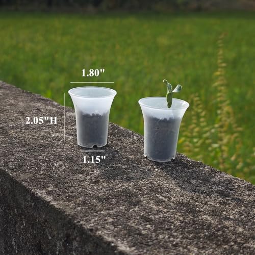 300 Pack 1.80 Inch Tiny Clear Plastic Nursery and Seedling Pot, Mini Transplant Seed Starter Planter with Drain Hole for Germination, Herb, Succulent