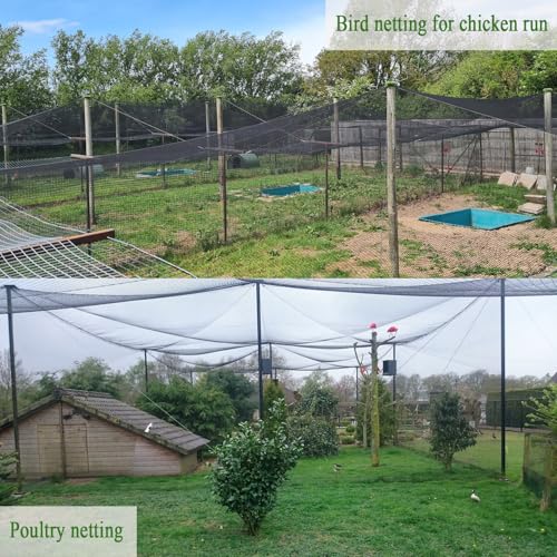 Bird Netting for Chicken Coop 100x100 Ft, 1" Mesh Aviary Netting - size: 100x100Ft-1"