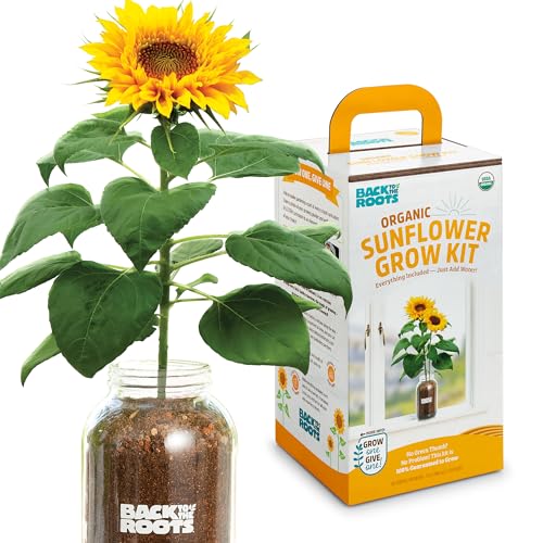 Back to the Roots Sunflower Organic Windowsill Planter Kit - Grows Year Round, Includes Everything Needed for Planting - style: Windowsill Planter Kit: Sunflower