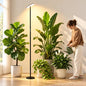 60W Tall Grow Light for Indoor Plants, 85 in, 1-23H Timer - color: Basic 4000K 1–23H Timer Touch