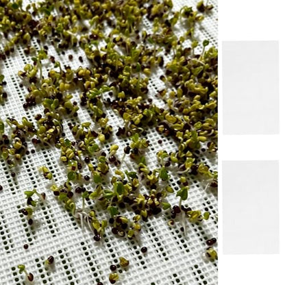 8 Pcs Silicone Seed Sprouting Mats, Seed Sprouting Mesh, Hydroponic Growing Mats for Microgreens Growing Kit (2 Size)