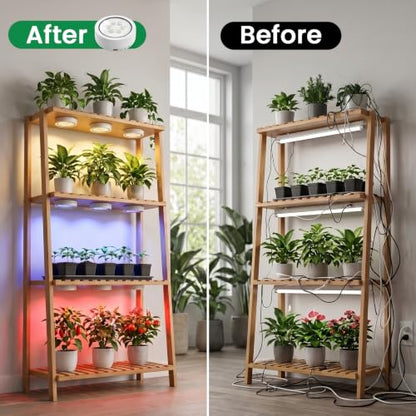 2 Pack Rechargeable Grow Light, Cordless Full Spectrum LED for Indoor Plants, Magnetic Mount, Timer & Remote, USB-C 2000mAh for Shelf, Herbs, Succulents, Seedlings & Greenhouse (White)