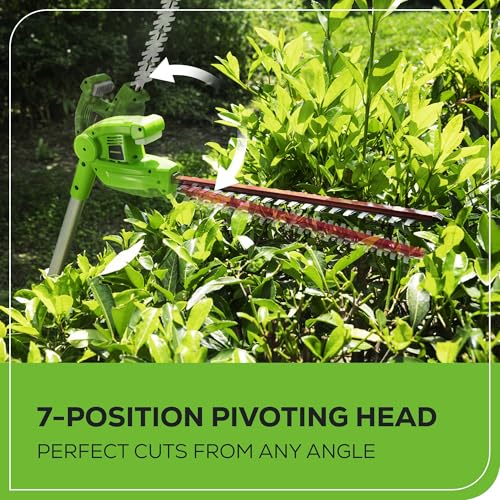 Greenworks 40V 8 in Pole Saw Hedge Trimmer Kit, 2.0 Ah Battery and Charger