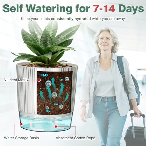 3 Pack Self Watering Pots for Indoor Plants, 5.5 Inch Plant Pots - color: Medium, 3pcs Black Stripes