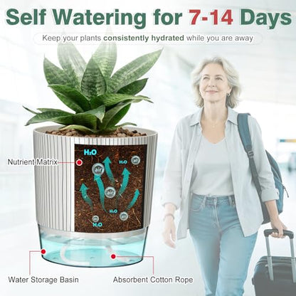 3 Pack Self Watering Pots for Indoor Plants, 5.5 Inch Plant Pots - color: Medium, 3pcs Black Stripes