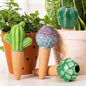SURE YUESI 4PCS Self Watering Globes, Automatic Terracotta Watering Bulbs - Watering Spikes, Vacation Plant Watering Devices System, Plant Watering Globes for Indoor and Outdoor Plants - Cactus - color: Cactus