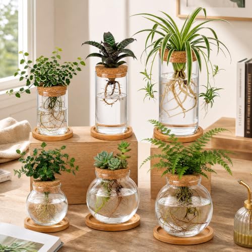 Honeydak 6 Pcs Plants Propagation Station Desktop Glass Propagation Round - color: Round Glass Bottle