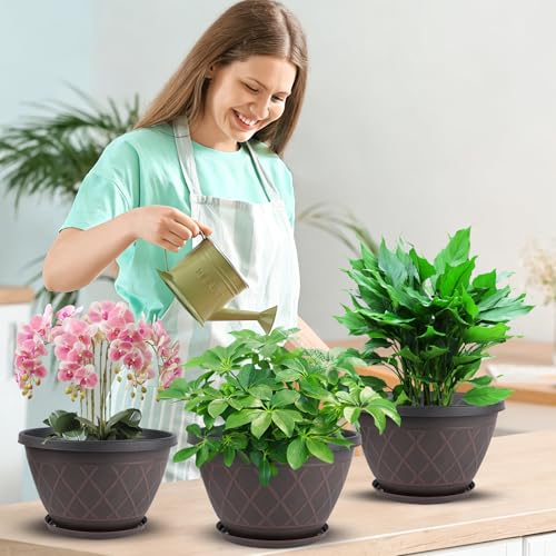 6 Pack 8 Inch Plant Pots, Planters with Drainage Holes & Saucers - size: 8 Inch - 6Pack