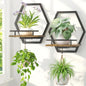 LASZOLA Plant Picture Frame Holder Shelf Wall Window Indoor, 2 Pcs Brown - color: Obsidian Black+Brown, size: 2