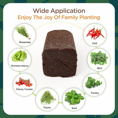 Rooting Cubes for Plant Cloning, 80PCS Grow Media with Pre-Cut Slit - size: Pre-Cut Slit-80PCS