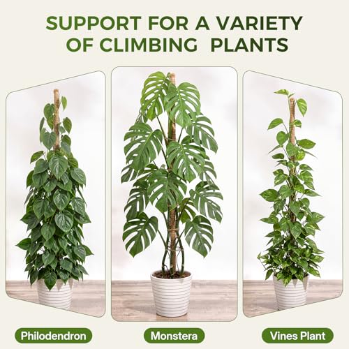 4 Pack 28'' Moss Pole Monstera Plant Support, Bendable Plant Stakes Made of Real Coco Coir Support for Climbing Indoor Plants, Tall Moss Stick Trellis for Potted Climbers - size: 4 Pack (28in)