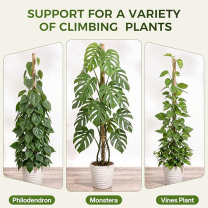 4 Pack 28'' Moss Pole Monstera Plant Support, Bendable Plant Stakes Made of Real Coco Coir Support for Climbing Indoor Plants, Tall Moss Stick Trellis for Potted Climbers - size: 4 Pack (28in)