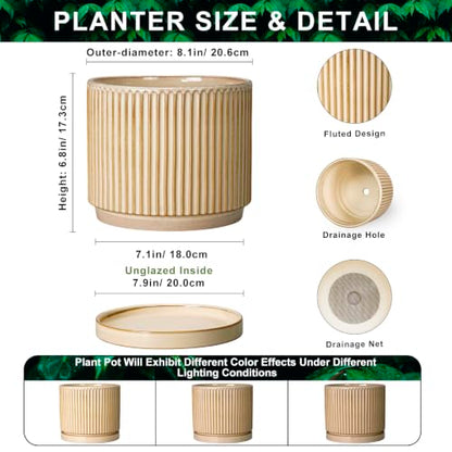 8 Inch Flower Pot, Ceramic Planters, Round Plant Pot, Beige - color: Beige, size: 8 Inch