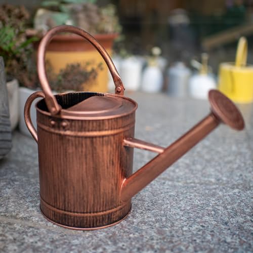 1 Gallon Copper Metal Watering Can, Removable Spout - color: Copper, size: 1 Gallon