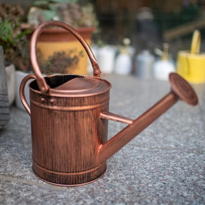 1 Gallon Copper Metal Watering Can, Removable Spout - color: Copper, size: 1 Gallon