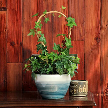 COLOtime 3Pack Small Plant Trellis Bamboo Trellis for Indoor Potted Plants - size: Round shaped, 3 Pack