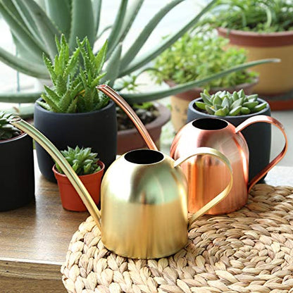 Rose Gold Watering Can for Indoor Plants, 450ml/15oz - size: Rose Gold 15 oz