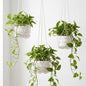 Sliner 3 Pack 24 Inch Pearl Beaded Plant Hanger Macrame Plant Hanger Decorative Hanging Planter Holder for Indoor Outdoor Boho Decor Wedding Home Garden - style: Pearl