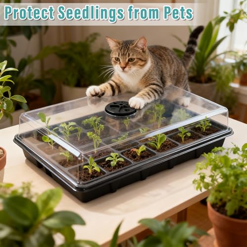 10-Pack Seed Starting Trays with Humidity Dome & Large 24-Cell 2" Plug Tray - color: Black, size: 10 Sets
