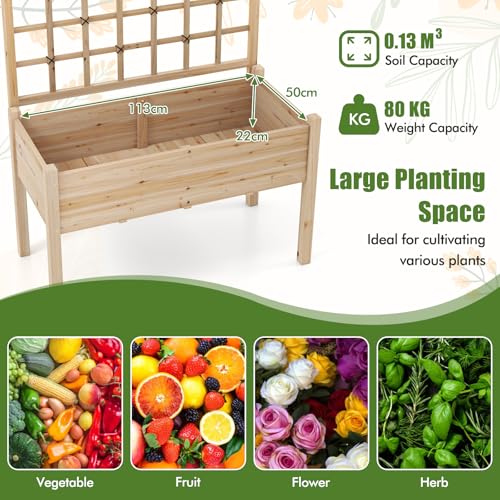 HAPPYGRILL Raised Garden Bed with Lattice Trellis & Legs - size: 47" x 24" x 63"
