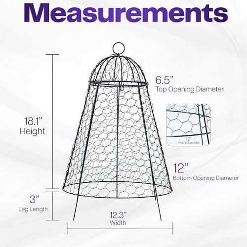 Life Finds Chicken Wire Garden Cloche Set, 6 Pack, LF-GC6P