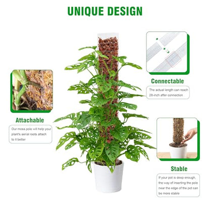 Bonviee 4-Pack 15-Inch Plastic Moss Poles for Monstera & Climbing Plants - Stackable to 60 Inches, Includes Sphagnum Moss & Garden Ties for Indoor Plant Support - size: 4 Packs+Moss