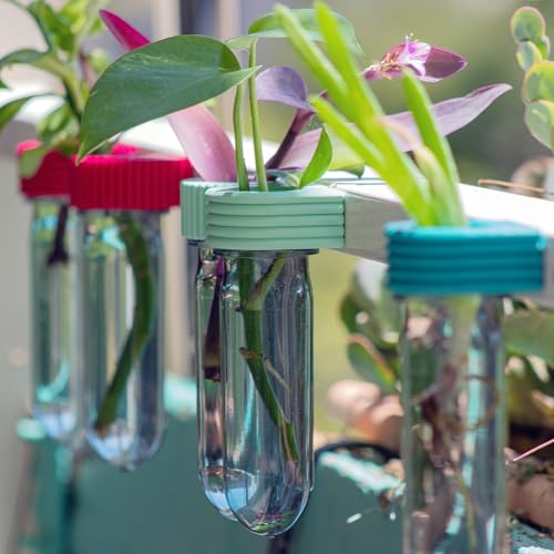 Propagation Station Wall Hanging Terrarium Upcycled 3D Printed Eco Friendly Unique Plant Lover Gift (Mint) - color: Mint