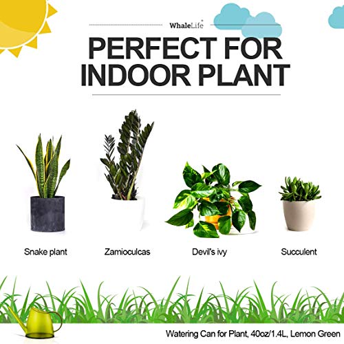 Small Indoor Plant Watering Can Long Spout 1.4L Green Lemon - color: Green Lemon