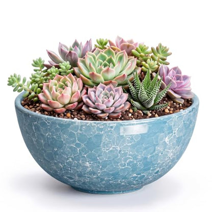 Succulent Pots Ceramic, 8 Inch Bonsai Tree Pots, Droplet Blue - color: Droplet Blue-1, size: 8 Inch