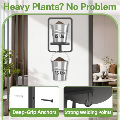 iDavosic.ly Wall Plant Picture Frame Holder Set of 2 & 2 Grow Lights, Black - color: Black with 2 Lights, size: Rectangular
