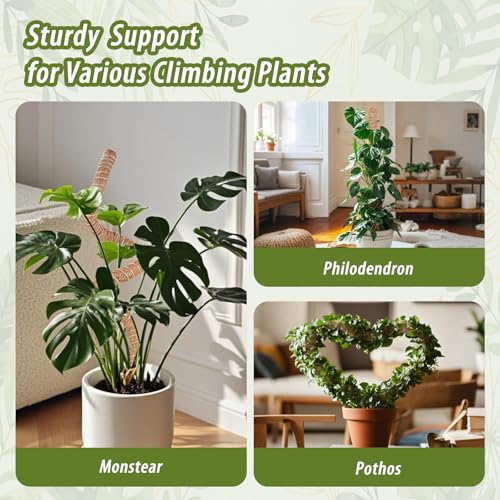 3 Pack Moss Pole, 48 Inch Monstera Plant Support, Moss Poles for Climbing Indoor Plants, Bendable Coco Coir Plant Support Stakes for Potted Plants, Pothos, Philodendron - size: 48 Inch - 3 Packs