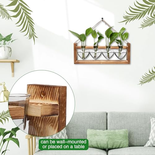 Plant Propagation Stations Heart Plant Terrarium Kit - color: Gray