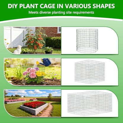 10 Pack 12x14 Inch Plant Cages, Metal Garden Protector from Animals - color: 10 Pack, size: 12x14 IN