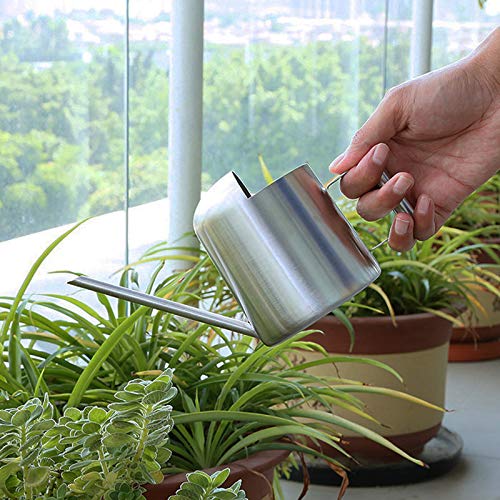 Mini Watering Can, 10oz/300ml Stainless Steel Long Spout Small Watering Can for Indoor Plants Succulents, Herbs (Silver) - color: Silver