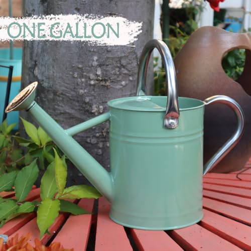 Metal Watering Can 1 Gallon for Outdoor Garden Plants, CGreen - color: Cream Green