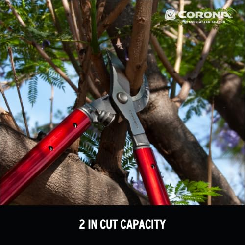Corona Bypass Lopper - 32" (32-inch Cutting Capacity)