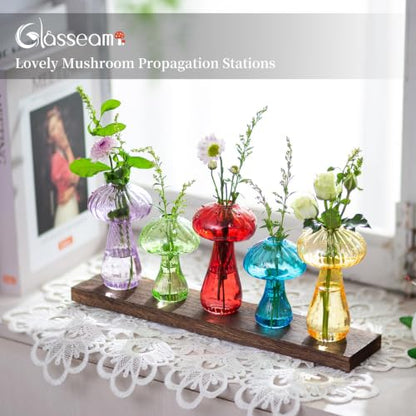 Glasseam Mushroom Propagation Station, Glass Plant Terrarium Jars with Tray