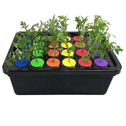 2” Neoprene Foam Inserts for Hydroponics Growing System, Clone Machine, Propagation Indoor Gardening, 100 Pack, Red - color: Red