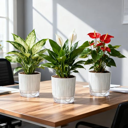 3 Pack Self Watering Pots for Indoor Plants, 5.5 Inch Plant Pots - color: Medium, 3pcs Black Stripes